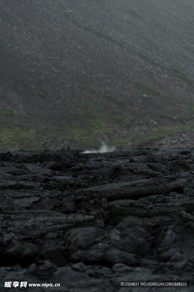 黑色熔岩地貌中的绿色生机