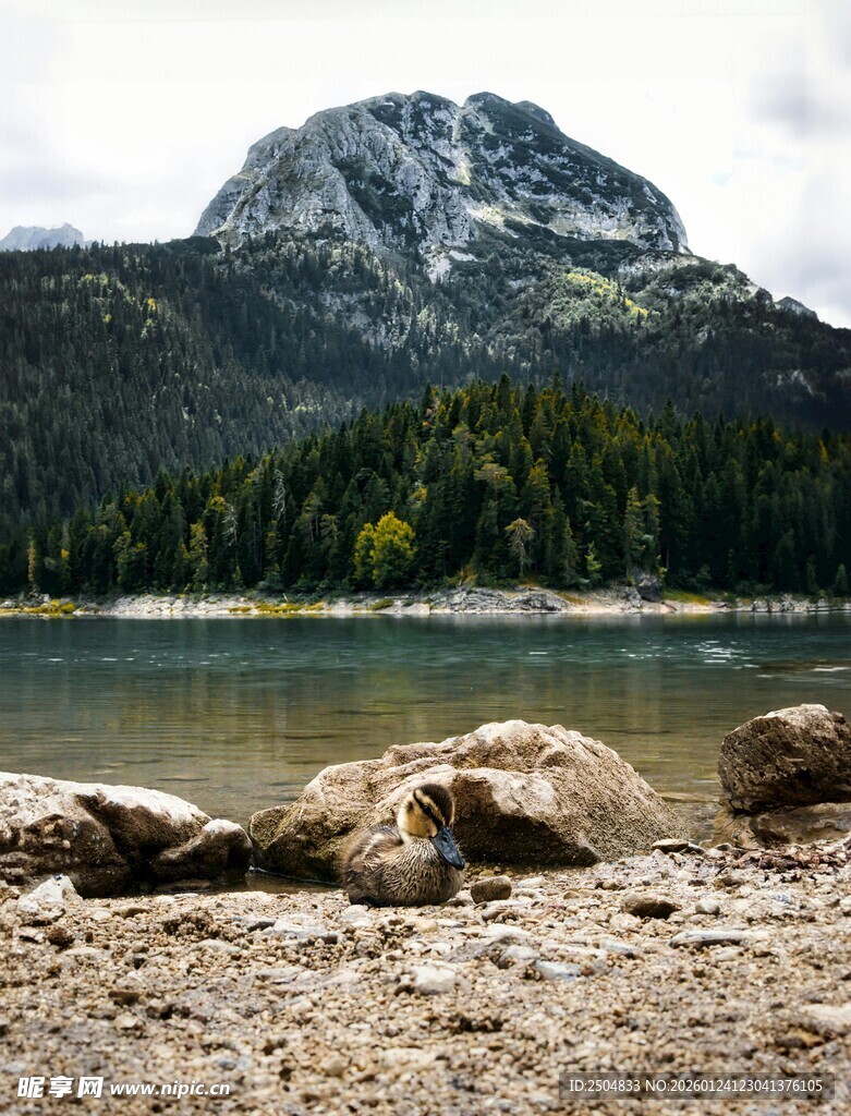 湖畔山石与远处巍峨山峰