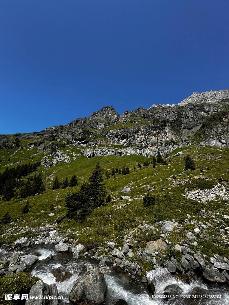 山间溪流 绿意盎然的景致