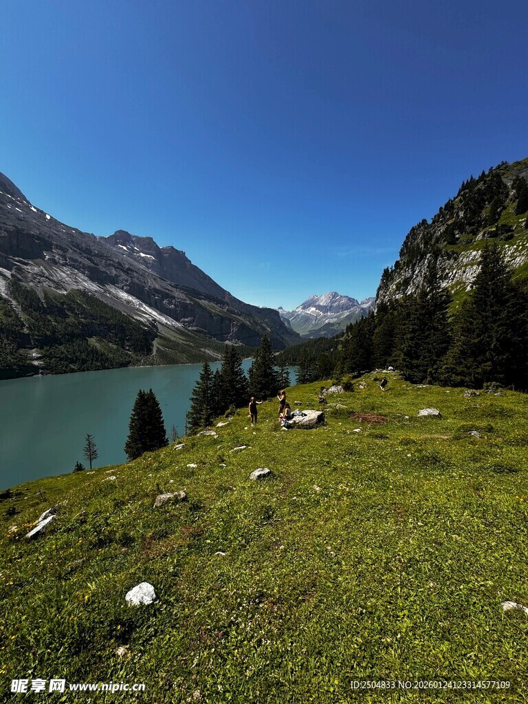 高山湖畔的翠绿草地