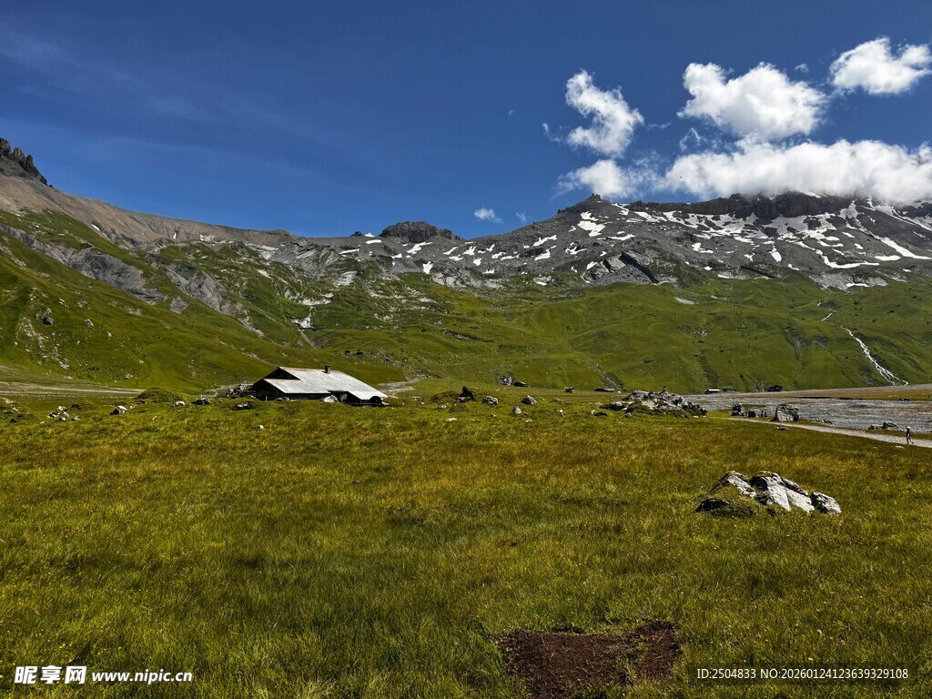 高山草甸间的悠然景致