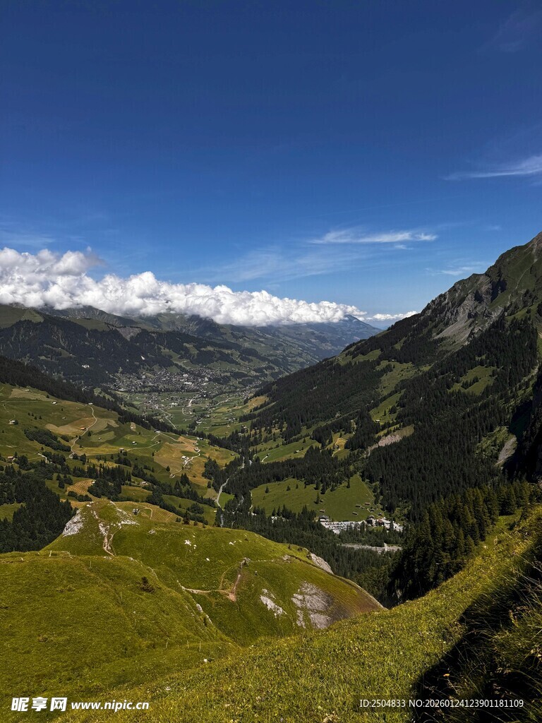 山间美景 绿意盎然的山谷