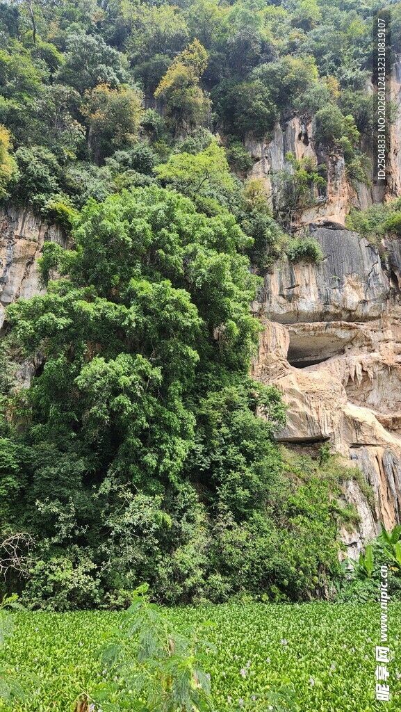 山林间的崖壁与繁茂植被
