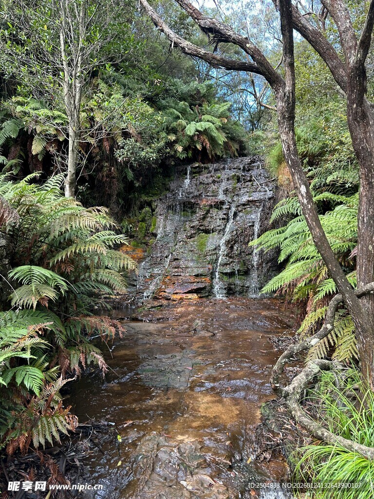 山林间的潺潺溪流与瀑布