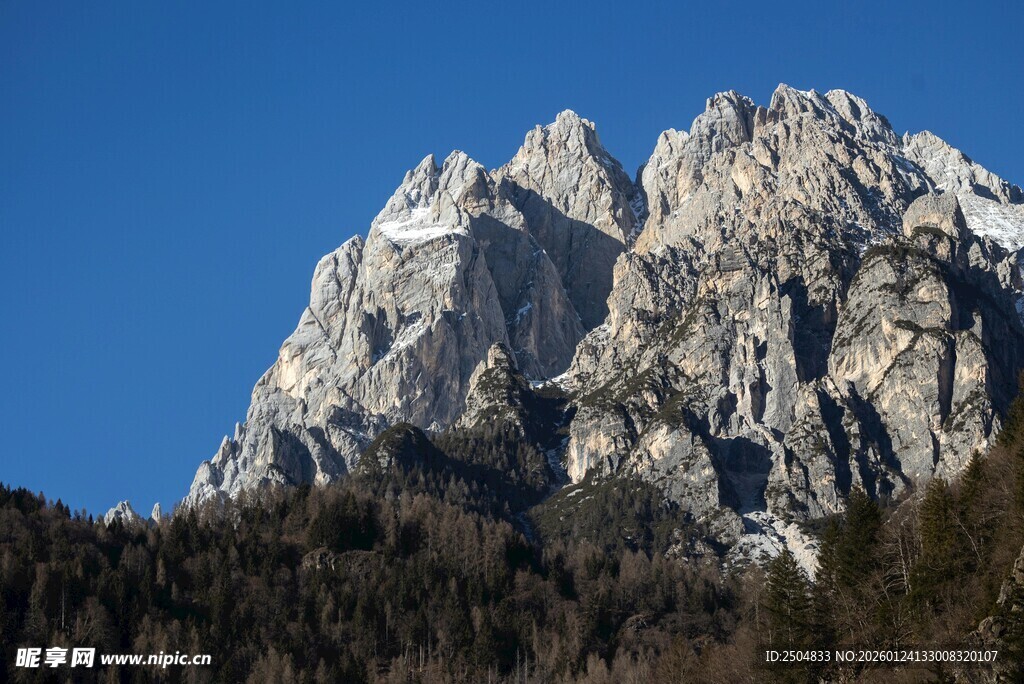 巍峨雪山与山林美景