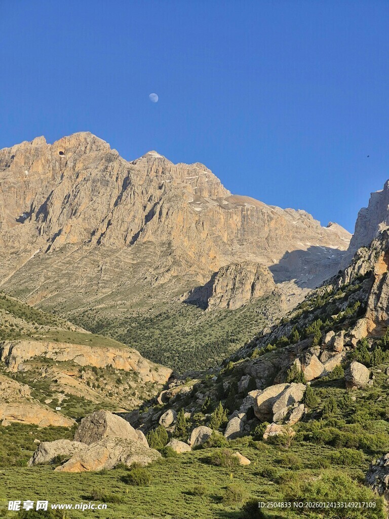壮丽山景 山间绿意与月色