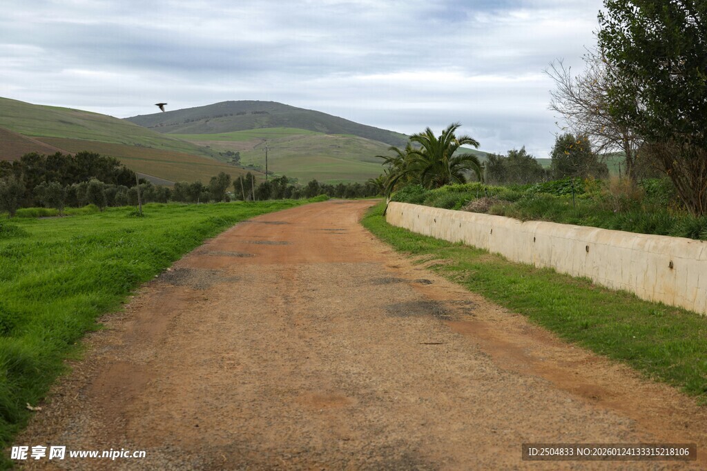 乡间土路 自然田园风光