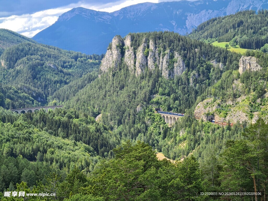 壮丽山峦间的葱郁森林