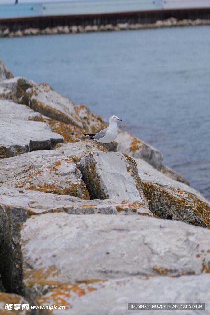 海边嶙峋岩石景观