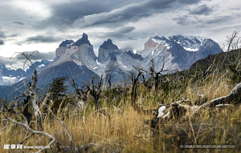 壮丽山景与荒野植被