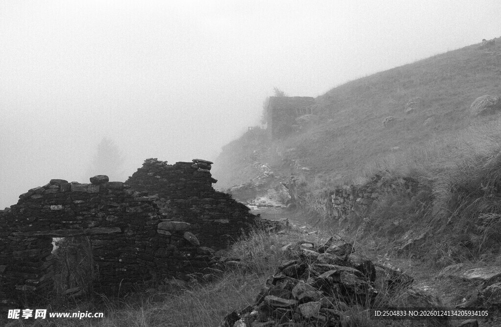 山间雾景中的植被景观