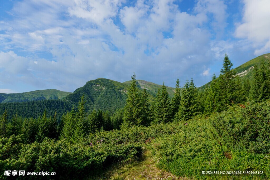 山间绿野 蓝天白云美景