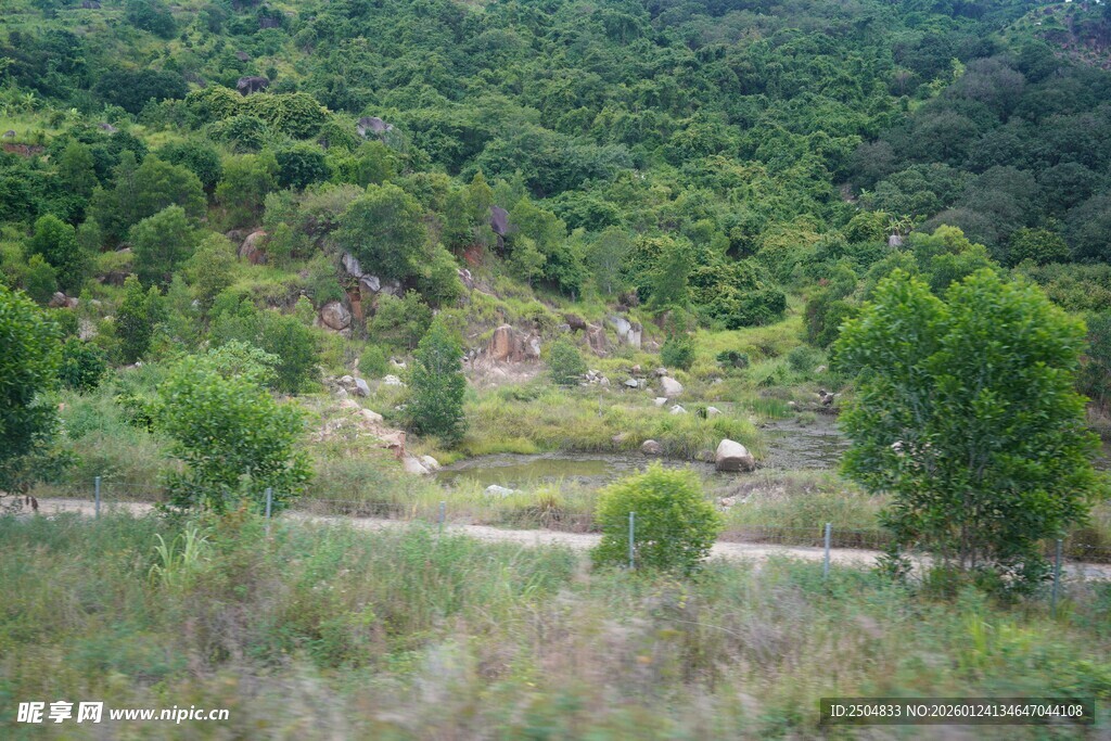 山间绿意盎然的开阔景致
