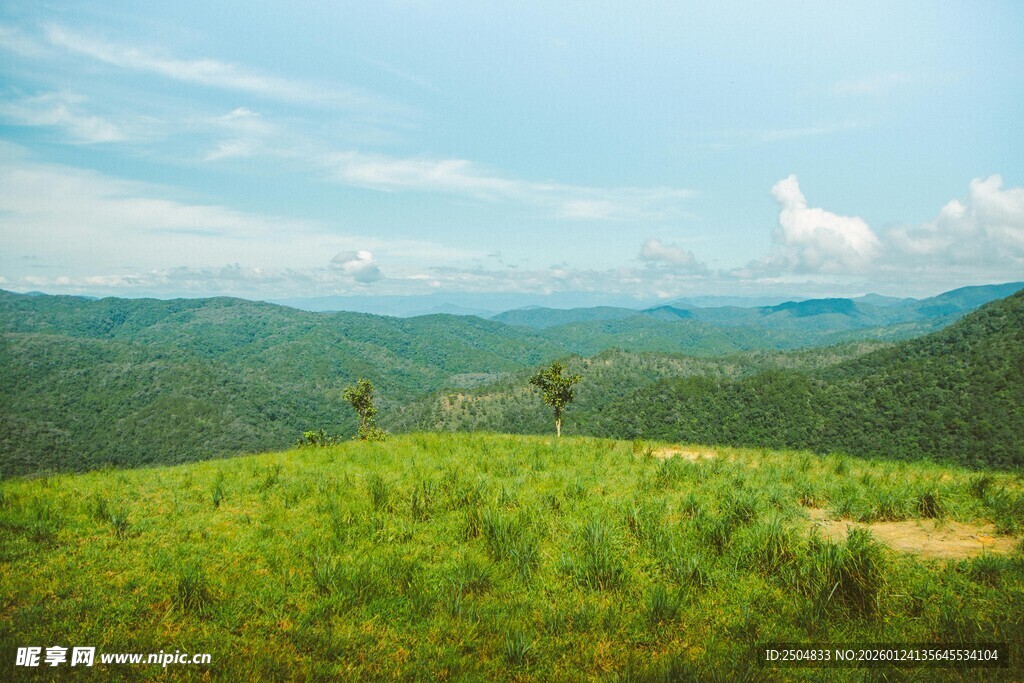 翠绿山丘间的开阔美景
