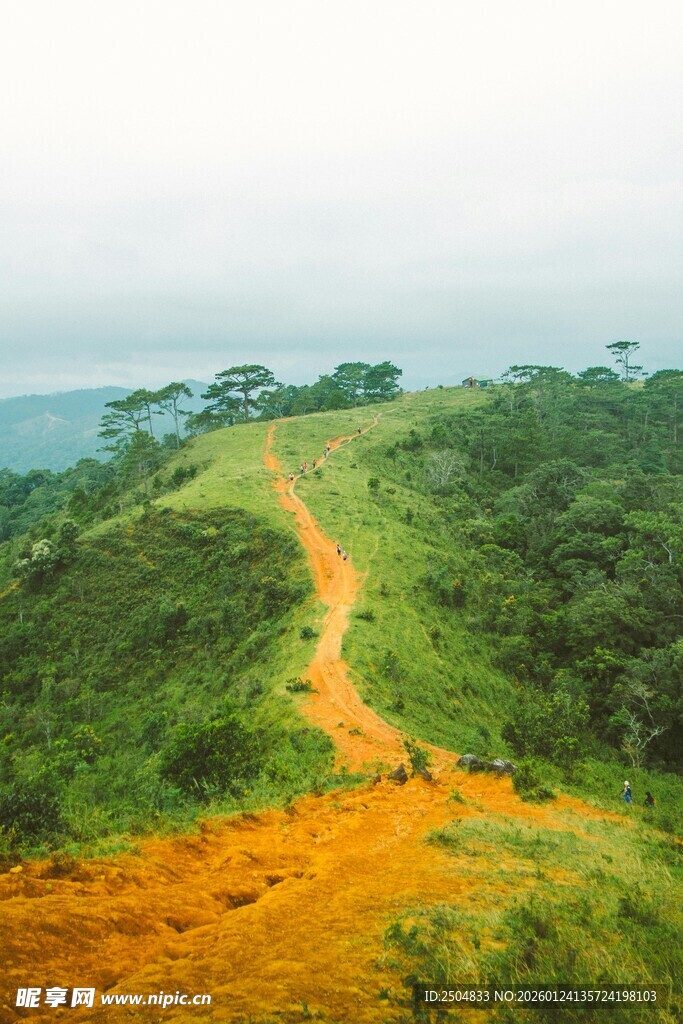 山间蜿蜒的橙黄小径