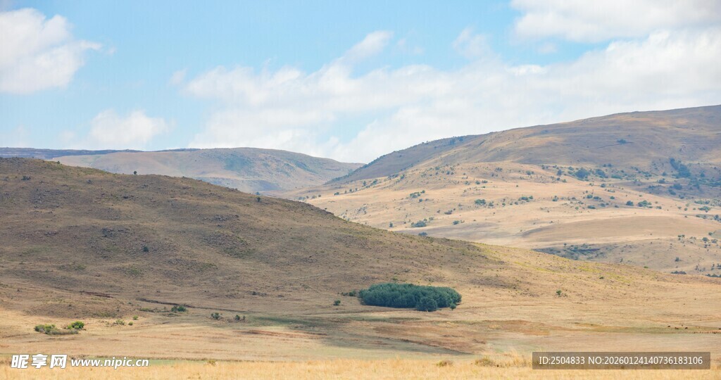 广袤荒原中的小片绿地