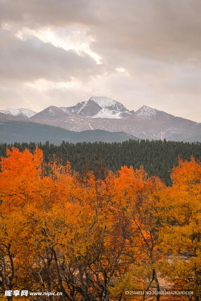 秋日山林中的壮丽雪山景色