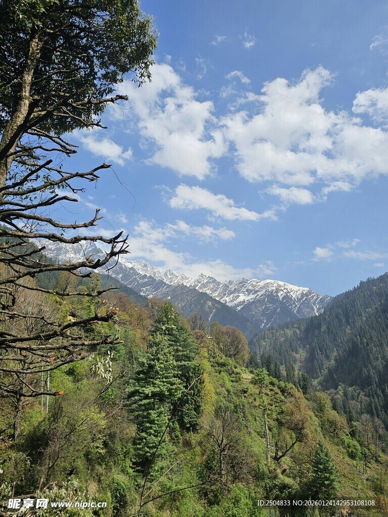 山间美景 绿意与蓝天相映