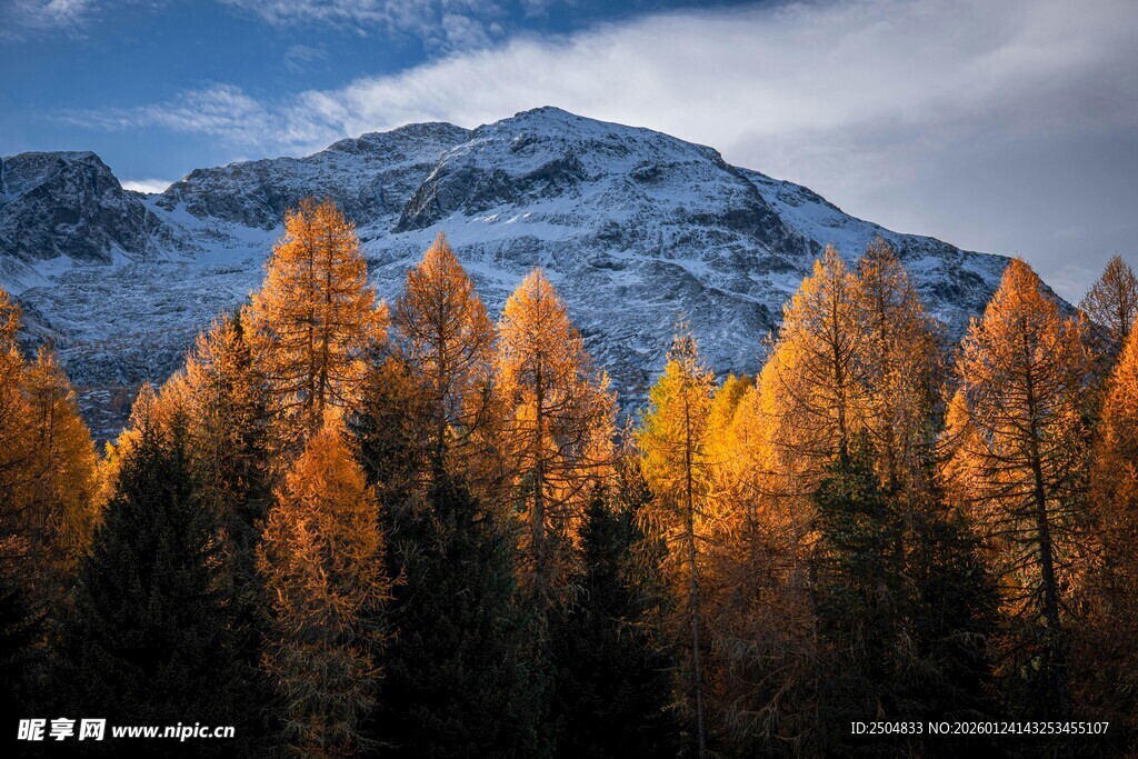 秋日山林中的壮丽雪山