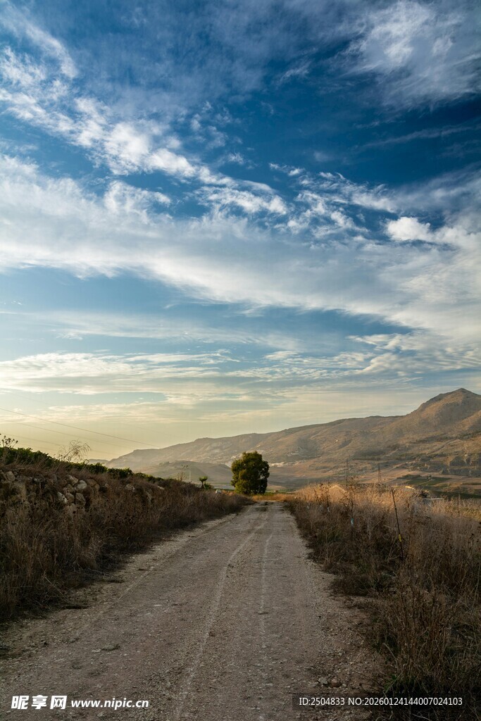旷野中的孤独小道