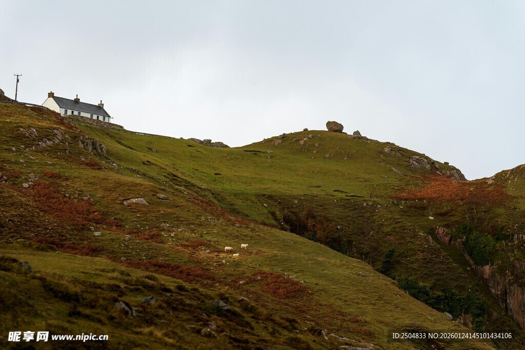 山间景色 绿意与红土交织