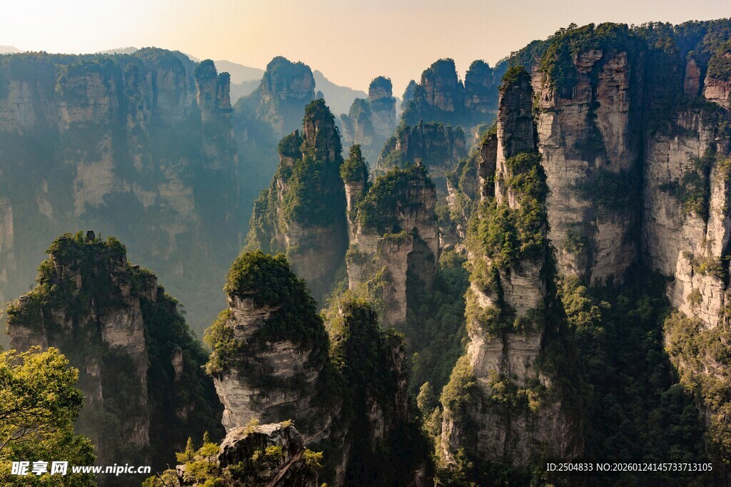 张家界奇峰美景