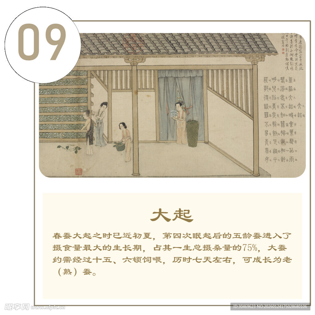 大越历史场景插画