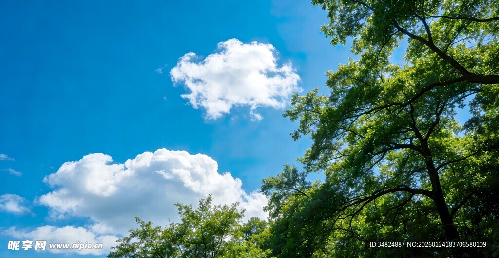 蓝天绿树间的白云景致