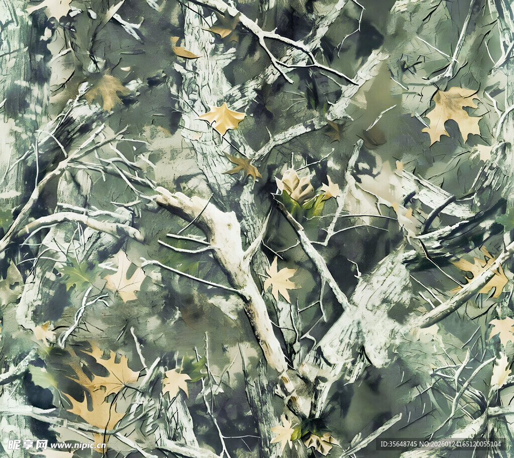 秋季树枝上的多彩树叶