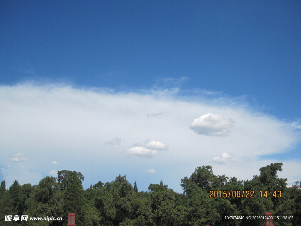 蓝天绿树间的悠悠白云