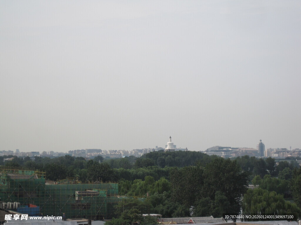 城市远景中的绿树景观