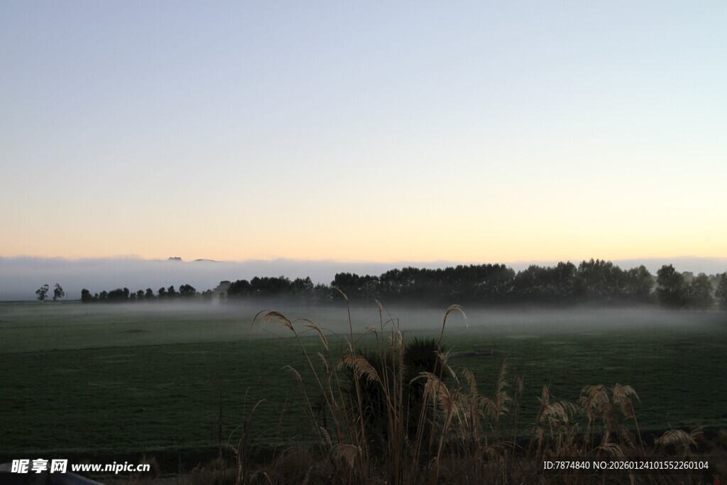 田野晨雾中的静谧景象 新西兰