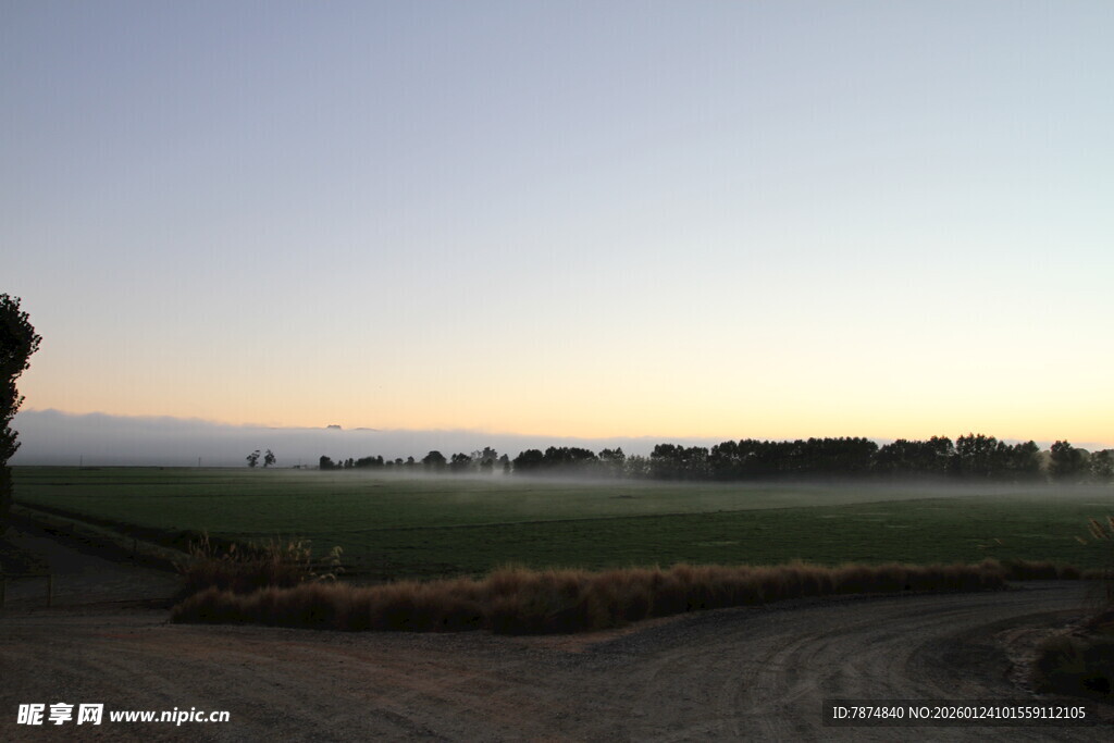 田野晨曦美景 新西兰