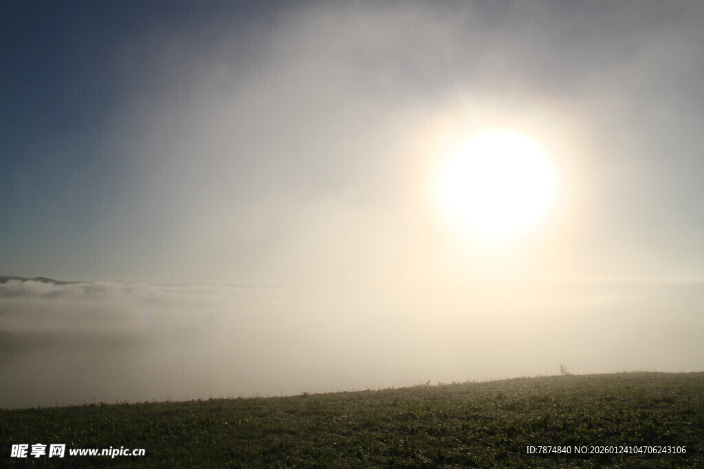 新西兰奶牛牧场