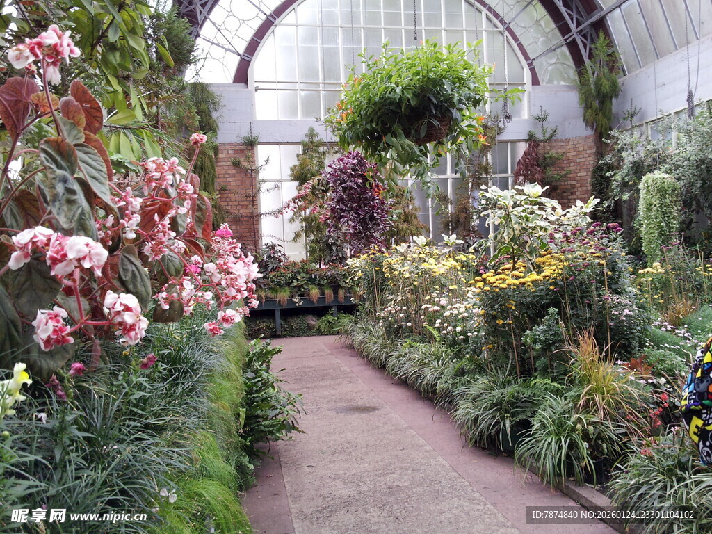 温室中的多彩花卉景观