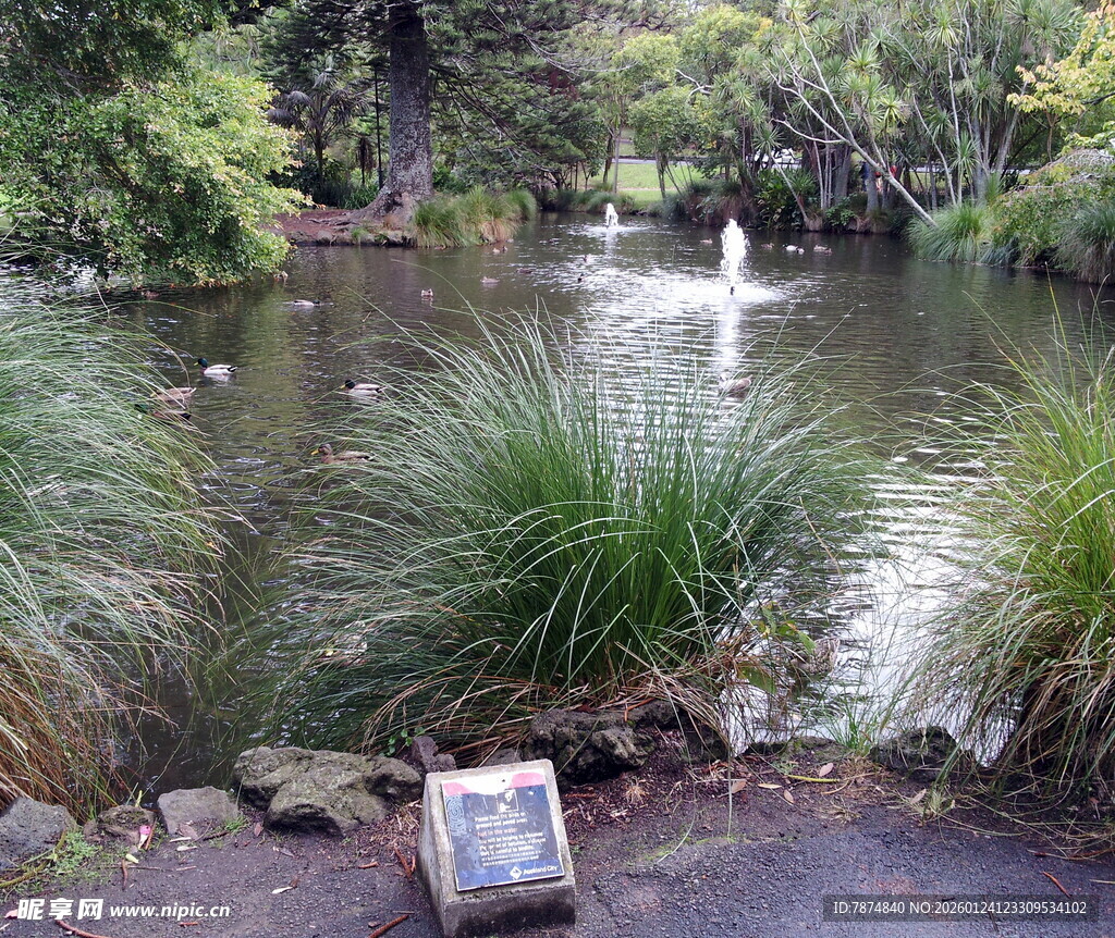 湖畔风景 绿植环绕的宁静地