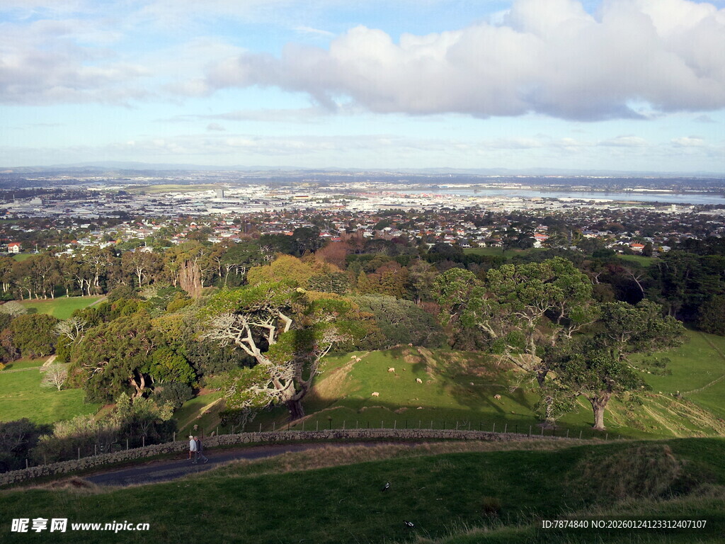 俯瞰绿意盎然的城市景观