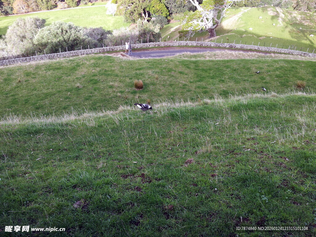 俯瞰绿意盎然的开阔草地