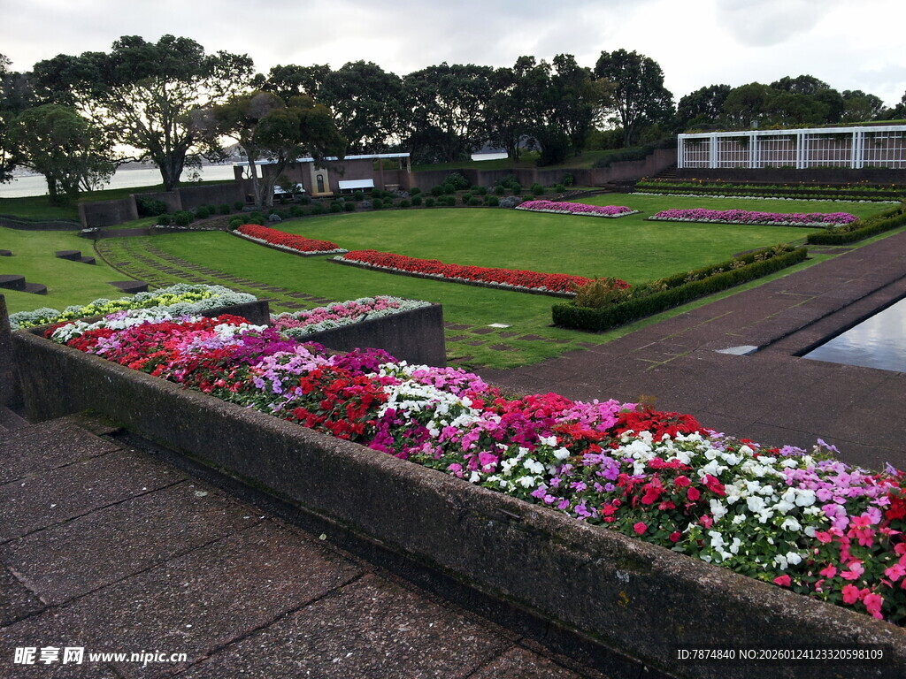 花园中多彩花卉景观