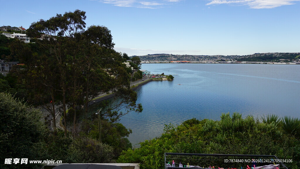 湖畔绿树环绕的美丽风光