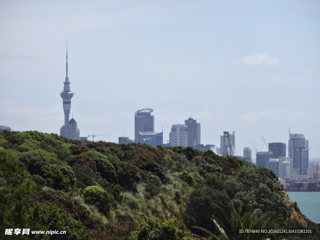 奥克兰城市与绿植景观
