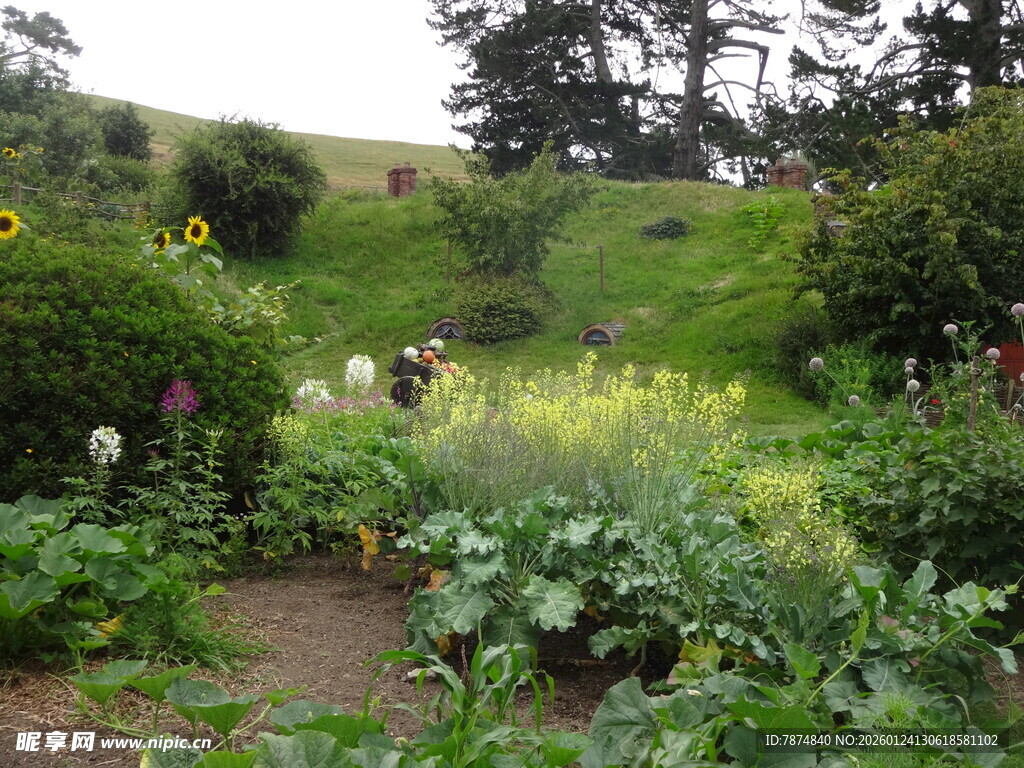 田园小径 绿植环绕的美景