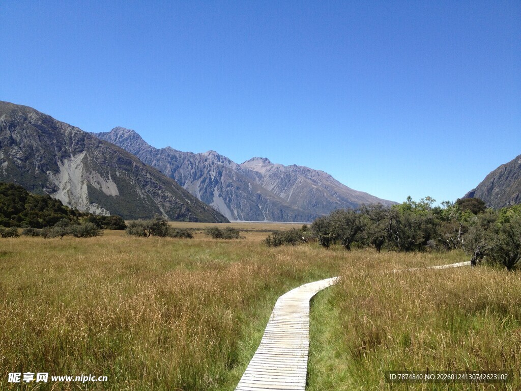 草原中的蜿蜒木栈道