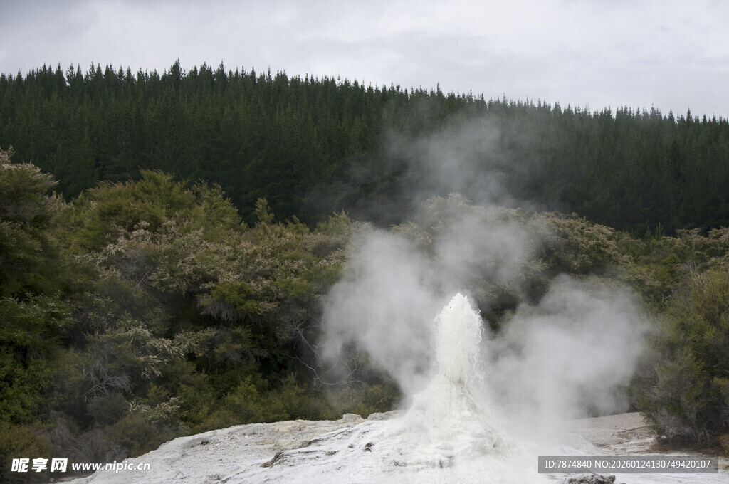 新西兰地热喷泉景观