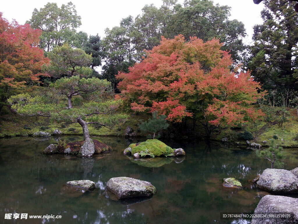 秋日湖畔多彩树木景致