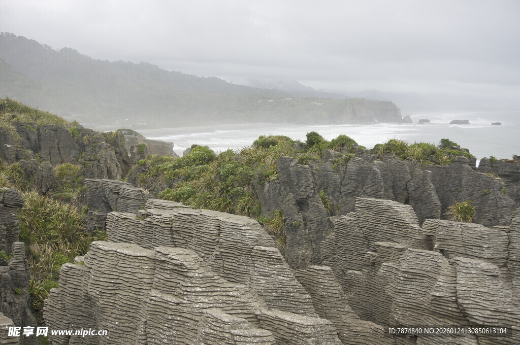 新西兰海岸嶙峋岩石景观