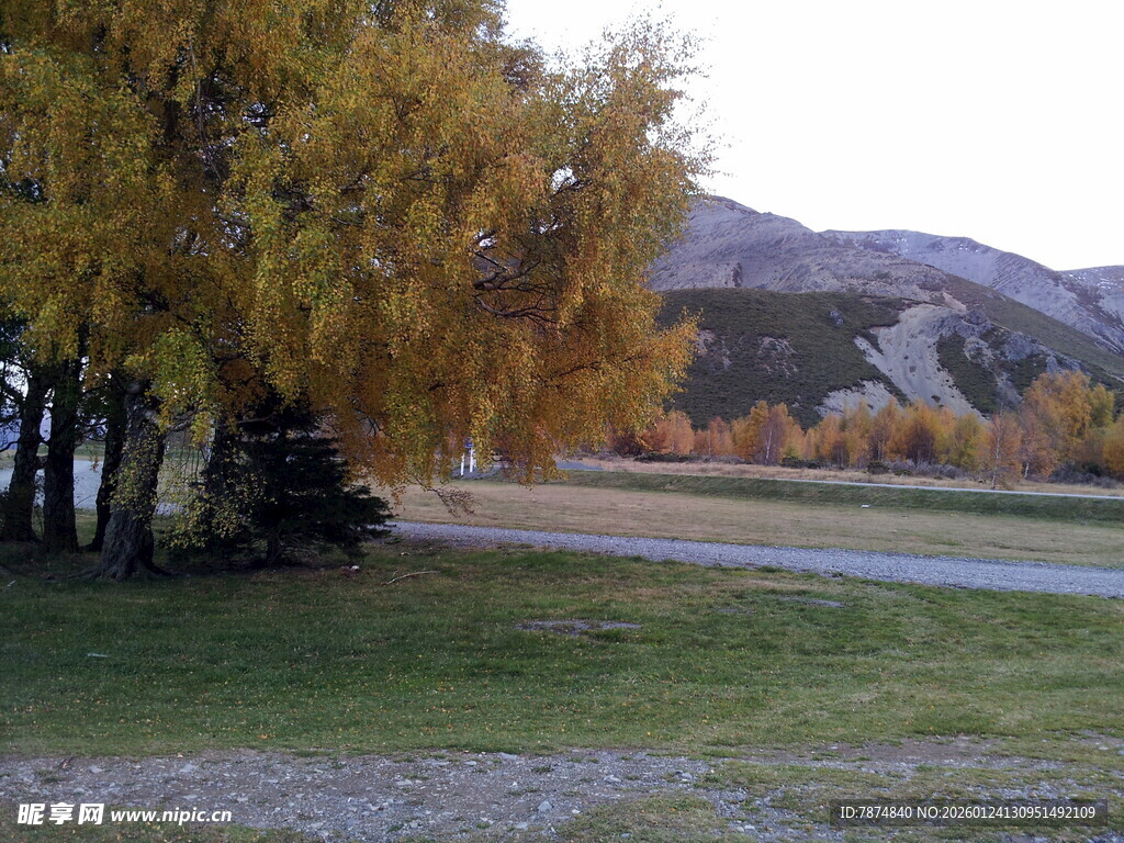 秋日林间小道美景