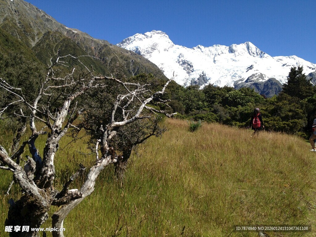 雪山下的广袤草地风光