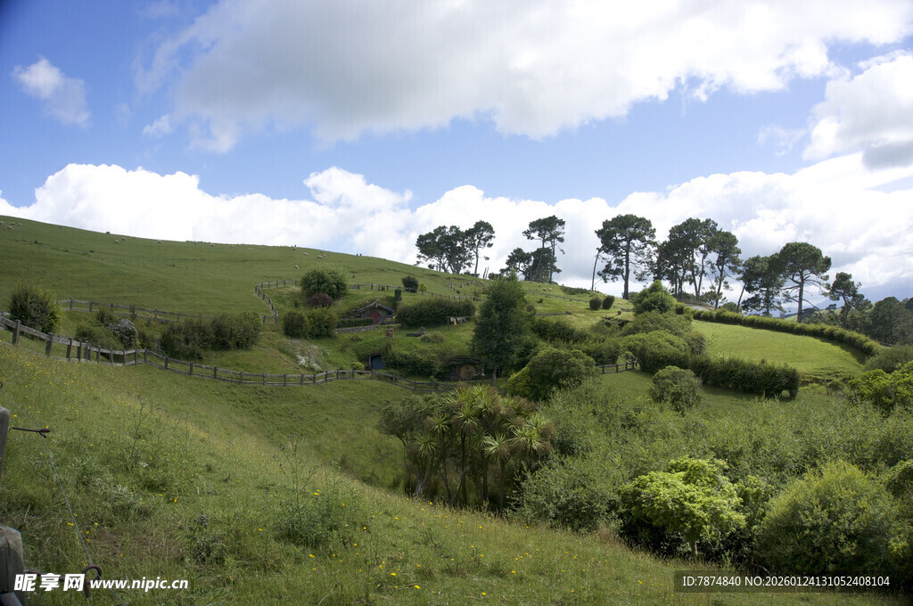 绿意盎然的山坡风景
