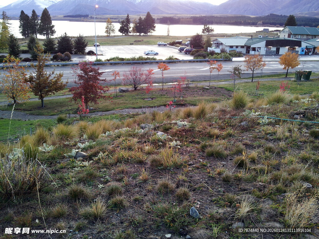 城郊风景 草地与建筑景观